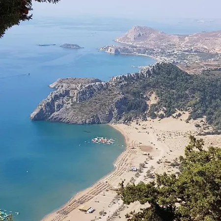 Althea קולימביה