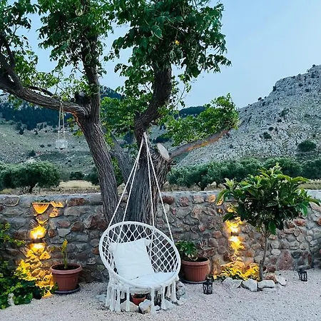 Althea * קולימביה