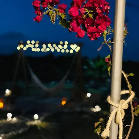 Althea קולימביה