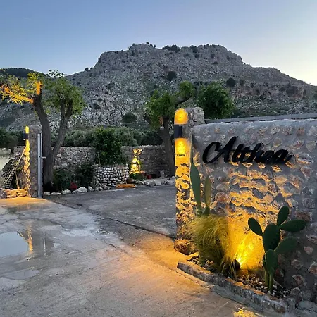 Althea * קולימביה