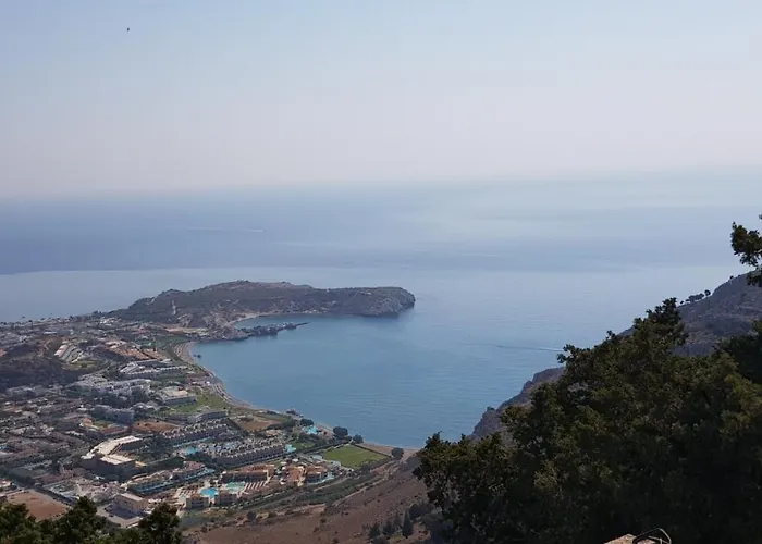 Althea * 콜림비아